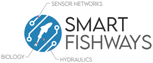 Smart fishways logo explained